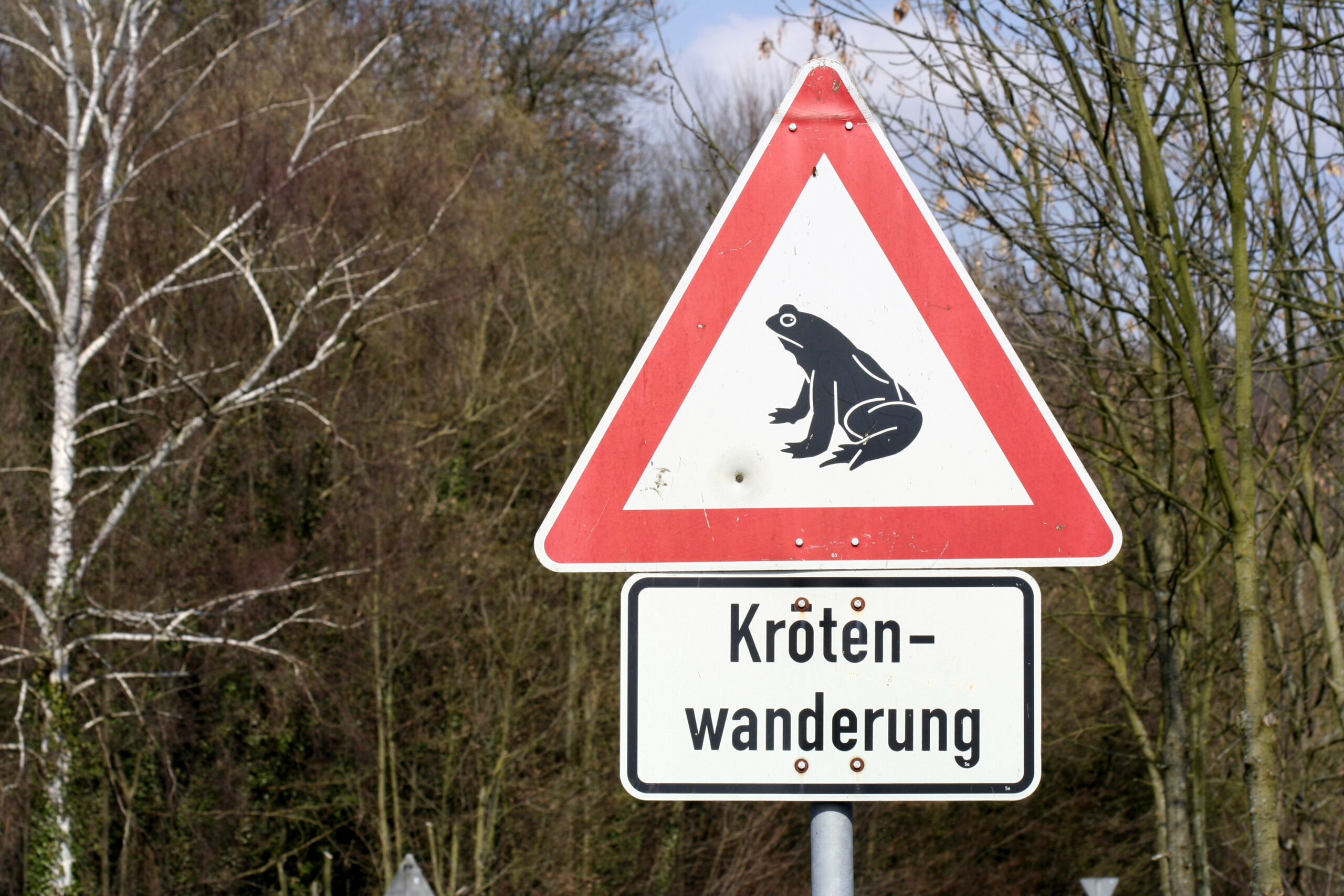 Warnschild Krötenwanderung